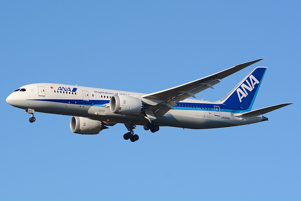 Boeing 787-8 Dreamliner in flight
